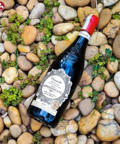 Rượu vang Ý Camasella Appassimento Puglia