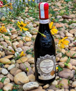 Rượu vang Ý Camasella Appassimento Puglia