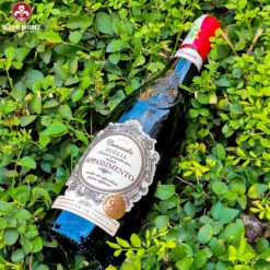 Rượu vang Ý Camasella Appassimento Puglia – Vang Ý Đậm Đà, Hậu Ngọt Dài | Rượu Vang Wine Home Rượu vang Ý Camasella Appassimento Puglia