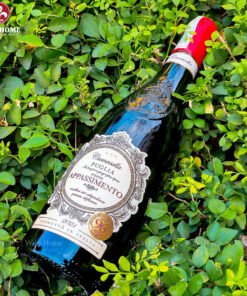 Rượu vang Ý Camasella Appassimento Puglia