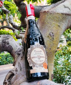 Rượu vang Ý Camasella Appassimento Puglia