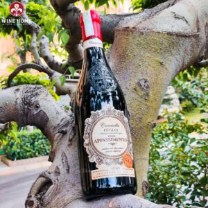 Rượu vang Ý Camasella Appassimento Puglia