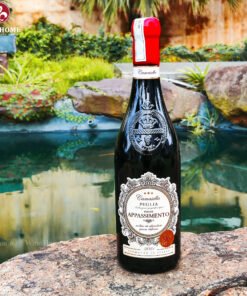 Rượu vang Ý Camasella Appassimento Puglia
