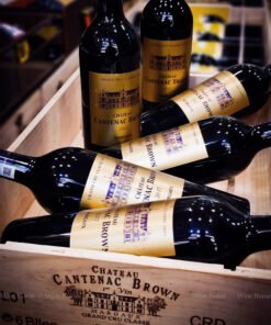 chateau cantenac brown 2017