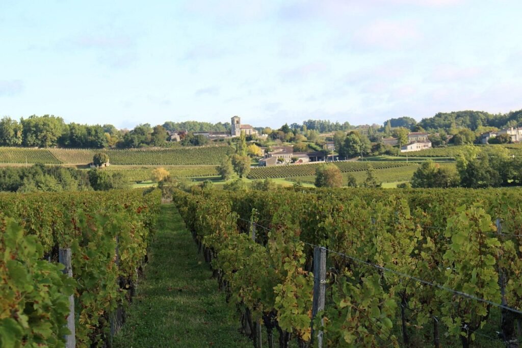 Khám phá vùng Saint Emilion - Bordeaux phần 1 | Wine Home Rượu Vang Nhập Khẩu saint emilion