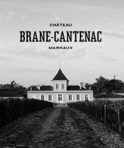 chateau brane cantenac