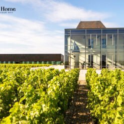 Château Pédesclaux Pauillac 2013 – Grand Cru Classé 1855 Mang Phong Cách Pauillac Hiện Đại | Rượu Vang Wine Home chateau pedesclaux