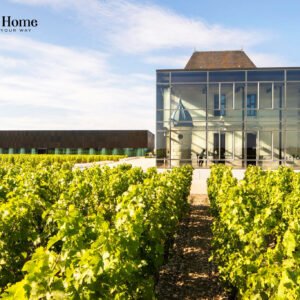 Rượu Vang Pháp Chateau Pedesclaux Pauillac 2013 – Hương Vị Đỉnh Cao Từ Bordeaux | Rượu Vang Wine Home chateau pedesclaux