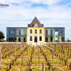 Château Pédesclaux Pauillac 2013 – Grand Cru Classé 1855 Mang Phong Cách Pauillac Hiện Đại | Rượu Vang Wine Home chateau pedesclaux