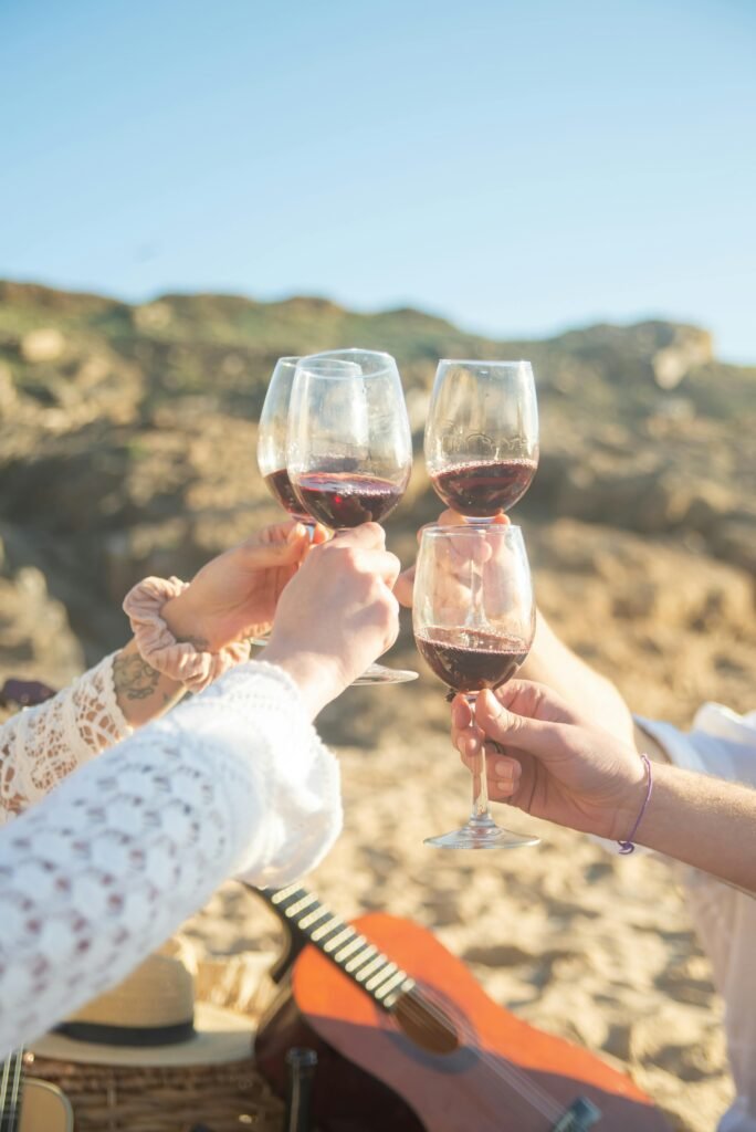 Rượu vang du lịch | Wine Home Rượu Vang Nhập Khẩu rượu vang đỏ