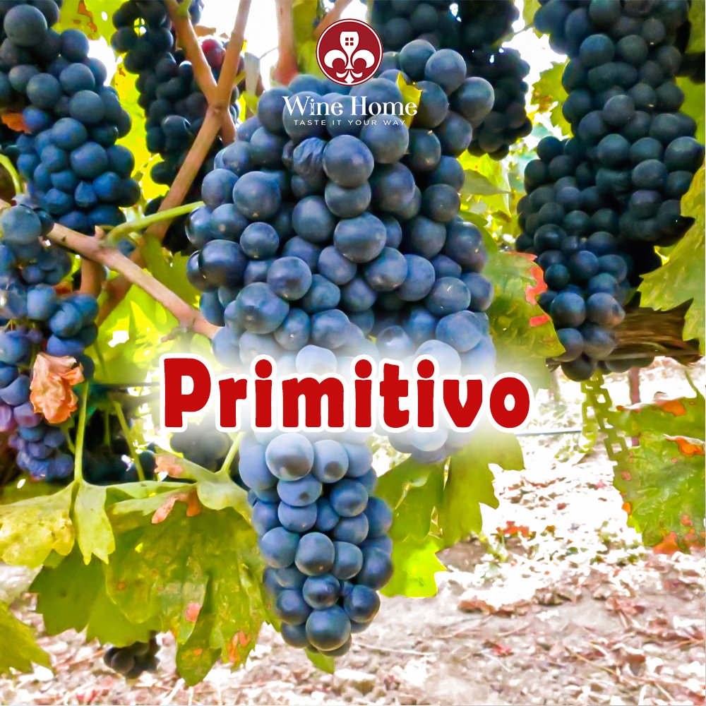nho primitivo