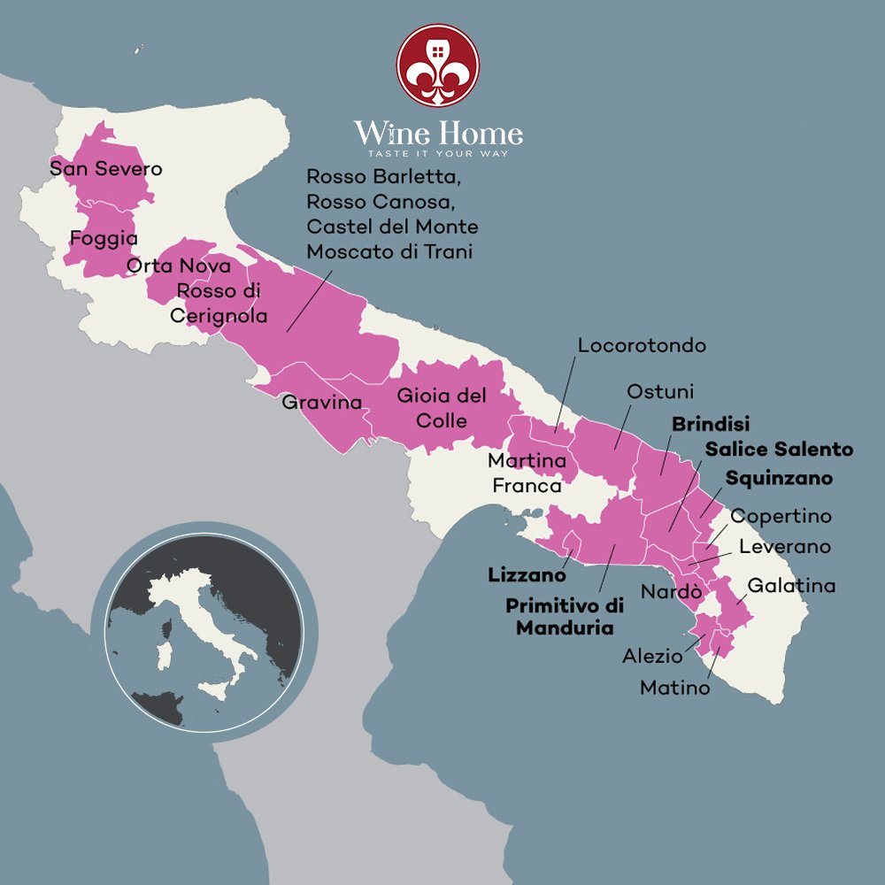 vùng làm vang puglia vùng làm vang puglia