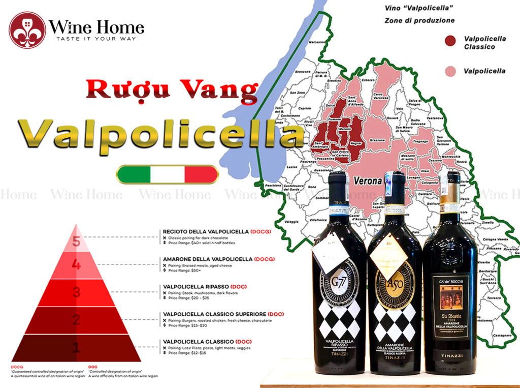 Amarone là gì? Tìm hiểu rượu vang Amarone, Cách làm rượu Amarone | Wine Home Rượu Vang Nhập Khẩu amarone della valpolicella