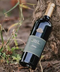 Rượu Vang Argentina 1853 Old Vine Estate Heritage