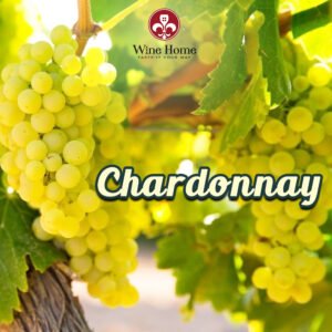 giống nho chardonnay