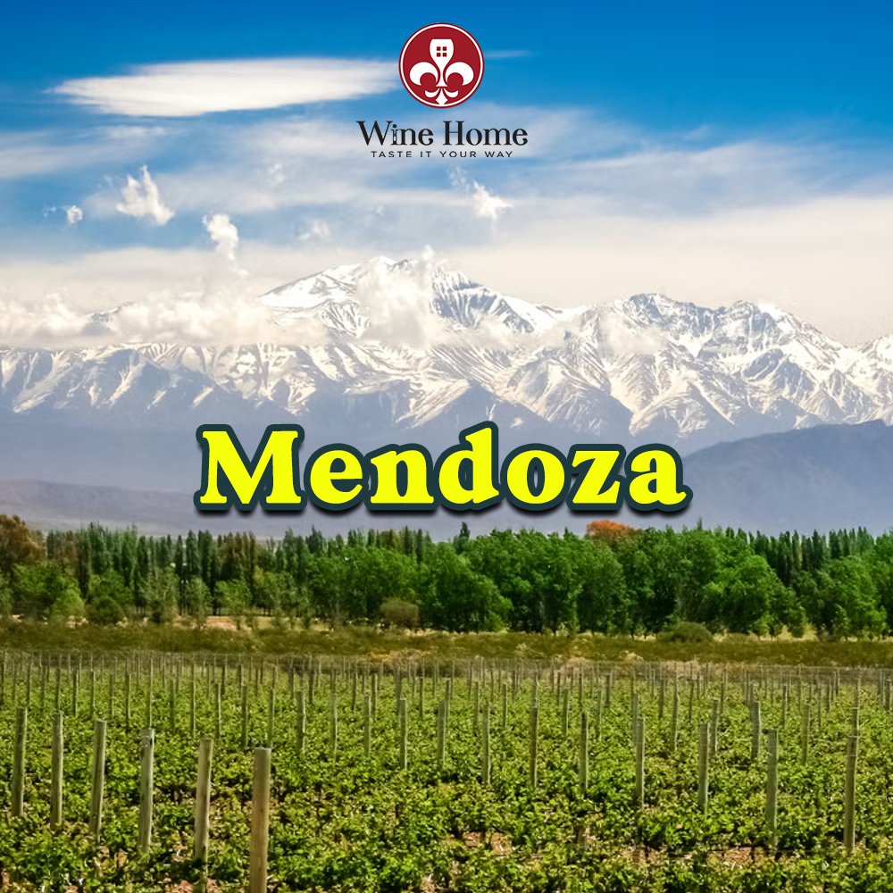 mendoza argentina