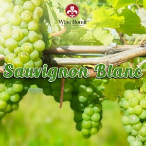 Sauvignon Blanc