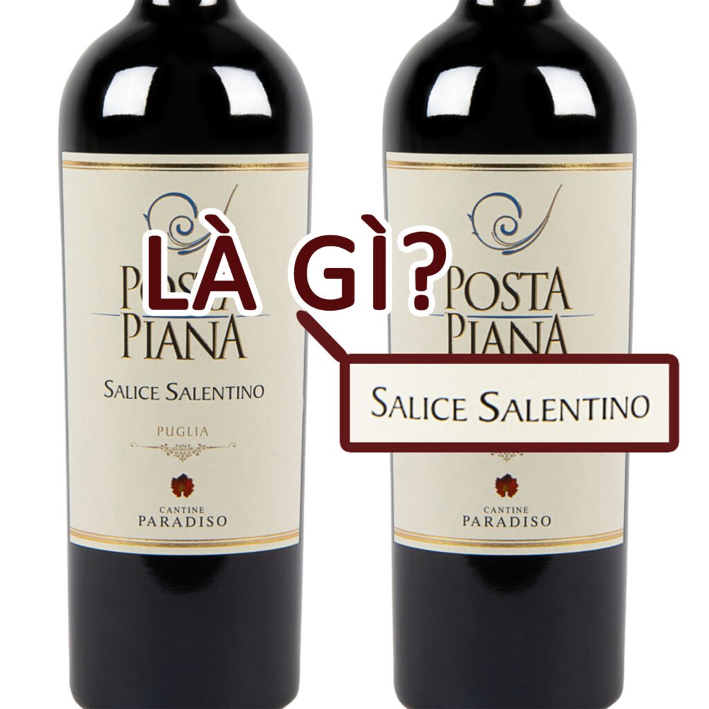 Rượu vang Salice Salentino là gì? Rượu vang Salice Salentino là gì?
