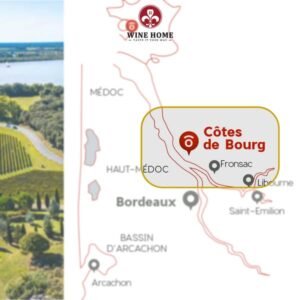 Vùng rượu vang Cotes de Bourg