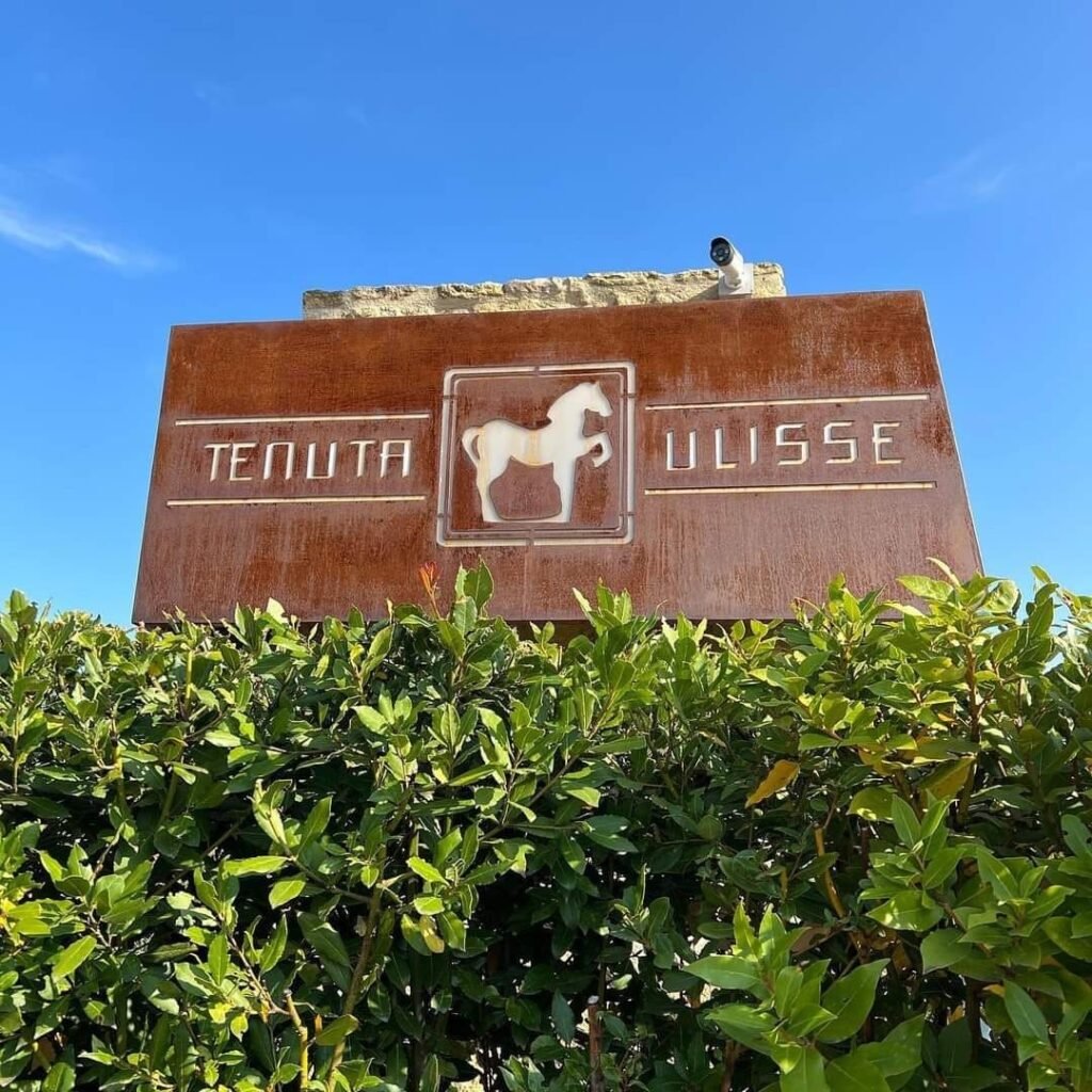 Tìm hiểu thương hiệu Tenuta Ulisse – Biểu tượng rượu vang hiện đại của vùng Abruzzo | Rượu Vang Wine Home Tenuta Ulisse