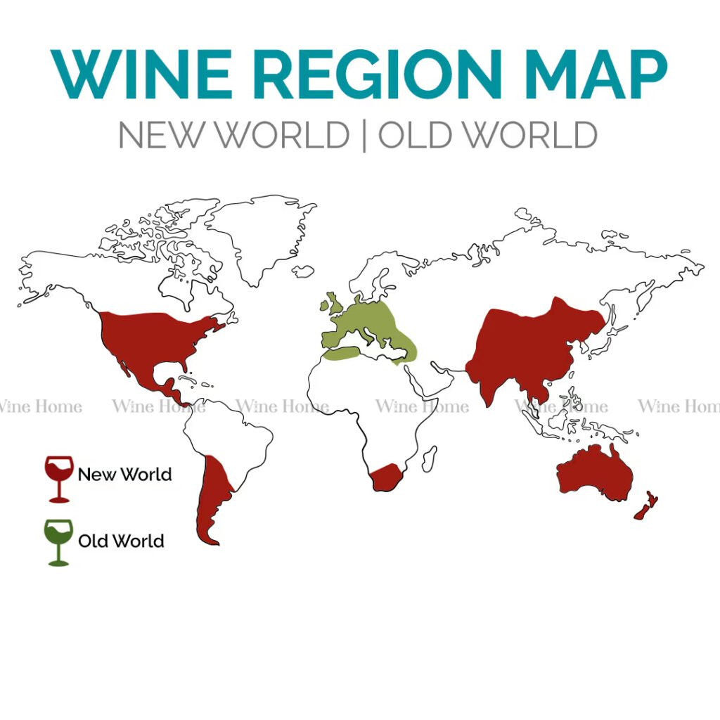 So Sánh Rượu Vang Cựu Lục Địa và Tân Thế Giới