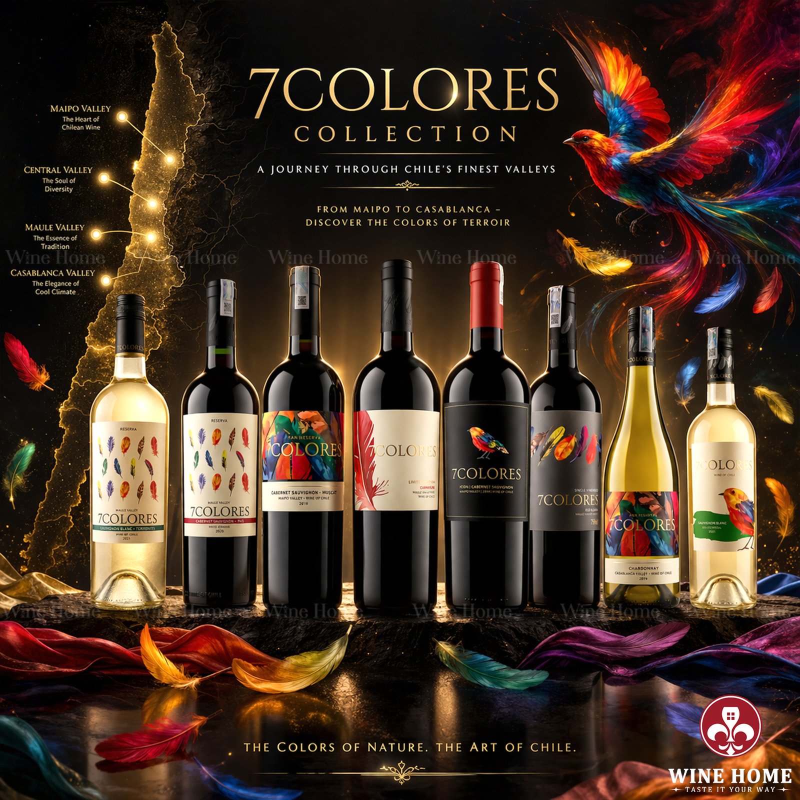 Khám Phá Thương Hiệu 7Colores