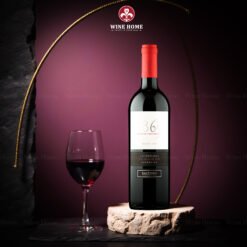 Rượu Vang Argentina 1865 Selected Vineyards Malbec – Tinh Hoa Từ Vùng Uco Valley | Rượu Vang Wine Home Rượu Vang Argentina 1865 Selected Vineyards Malbec