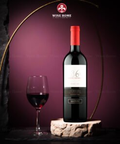 Rượu Vang Argentina 1865 Selected Vineyards Malbec