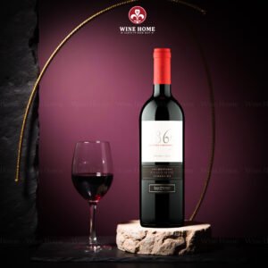Rượu Vang Argentina 1865 Selected Vineyards Malbec