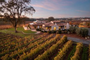 Vườn nho tại Madrid