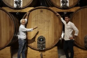 Thương hiệu rượu vang Antiche Terre Venete