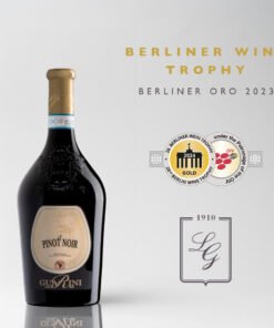 Rượu vang Ý Guarini Pinot Noir