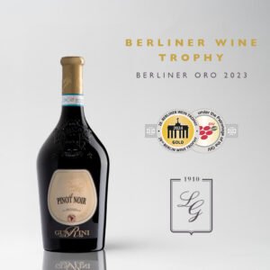 Rượu vang Ý Guarini Pinot Noir – Sự thanh lịch Ý qua từng giọt vang | Rượu Vang Wine Home Rượu vang Ý Guarini Pinot Noir