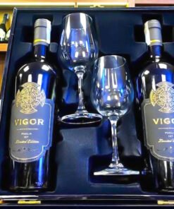 Rượu Vang Ý Vigor Puglia IGP