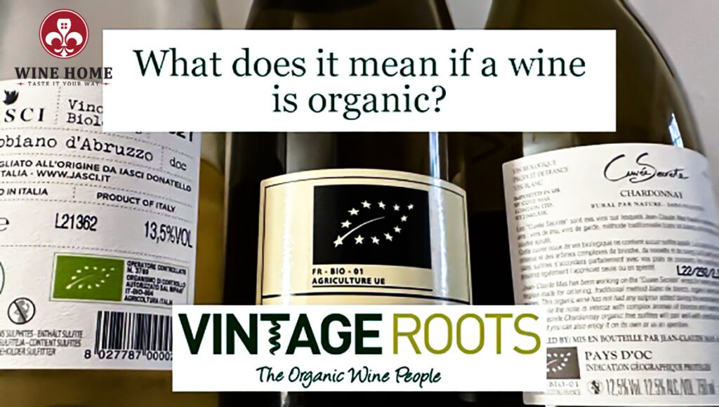Trải nghiệm rượu vang đỏ hữu cơ: khác biệt thế nào? | Rượu Vang Wine Home Tìm hiểu rượu vang hữu cơ