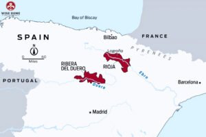 Vùng rượu vang Ribera del Duero