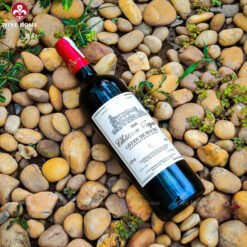 Rượu vang Pháp Chateau Tayac Cotes de Bourg 2020