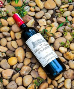 Rượu vang Pháp Chateau Tayac Cotes de Bourg 2020