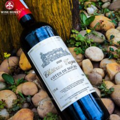 Rượu vang Pháp Chateau Tayac Cotes de Bourg 2020