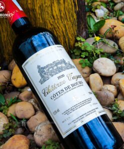 Rượu vang Pháp Chateau Tayac Cotes de Bourg 2020
