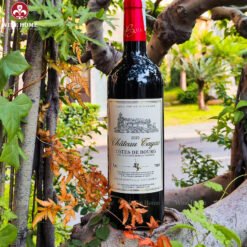 Rượu vang Pháp Chateau Tayac Cotes de Bourg 2020