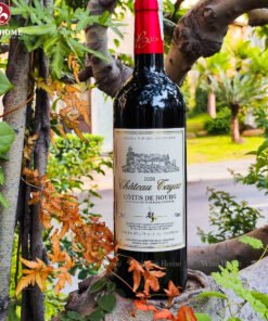Rượu vang Pháp Chateau Tayac Cotes de Bourg 2020