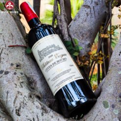 Rượu vang Pháp Chateau Tayac Cotes de Bourg 2020