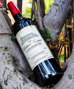 Rượu vang Pháp Chateau Tayac Cotes de Bourg 2020