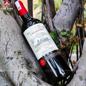 Rượu Vang Pháp Chateau Haut Goujon La Rose Saint-Vincent 2018 - Đậm Đà Tinh Tế Từ Lalande de Pomerol | Rượu Vang Wine Home Chateau Haut Goujon