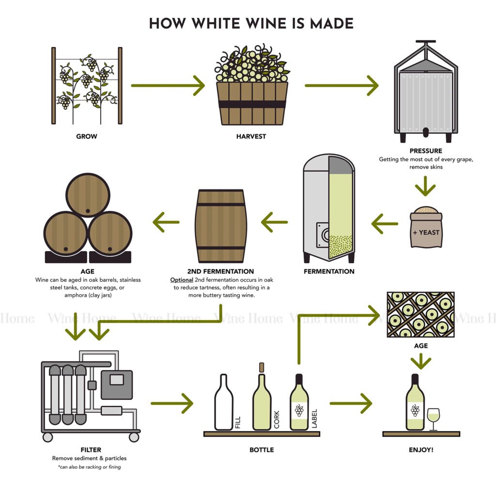 CÁCH TẠO RA RƯỢU PROSECCO