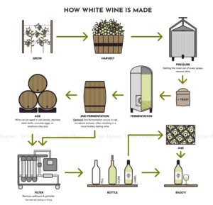 CÁCH TẠO RA RƯỢU PROSECCO