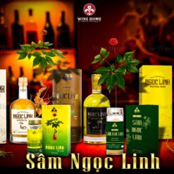Sâm Ngọc Linh Sấy Khô Trường Sinh – Quốc Bảo Tăng Cường Sức Khỏe Toàn Diện | Rượu Vang Wine Home Sâm Ngọc Linh