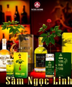 Rượu Sâm Ngọc Linh Trường Sinh Brown – Tăng Cường Sức Khỏe, Quà Tặng Cao Cấp | Rượu Vang Wine Home Sâm Ngọc Linh