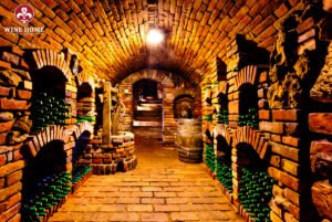 Tại sao rượu vang đỏ cần ủ lâu hơn?